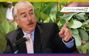 ¿Cálculos de Andrés Pastrana sobre cultivos de coca son correctos?